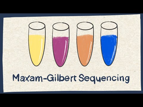 Advancements in Maxam and Gilbert DNA Sequencing Techniques