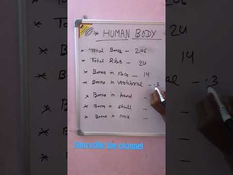 Skeletal Structure in 3D: A Scientific Perspective