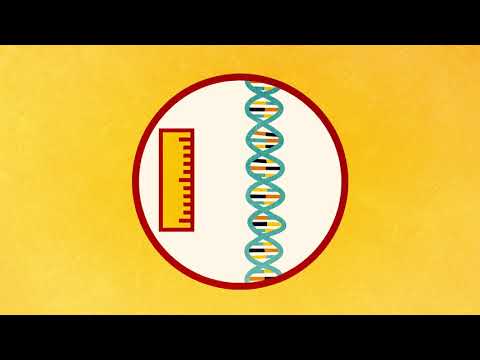 Amino Acids and DNA: The Blueprint of Life Unraveled