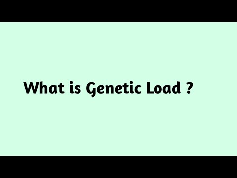 Genetic Load and Its Role in Human Health and Disease