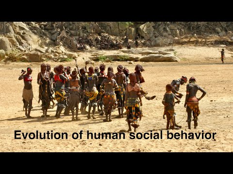 The Science Behind Evolution and Human Behavior Connections