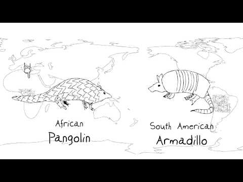 Ecosystem Diversity: Importance for Science and Conservation