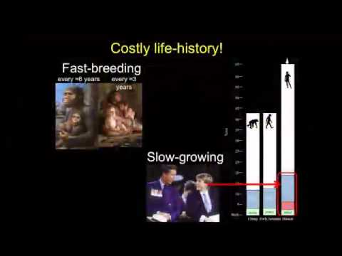 Advancing Human Evolutionary Biology at Harvard University