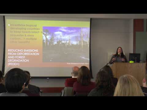 Innovative Approaches to Sequestration in Biology Research