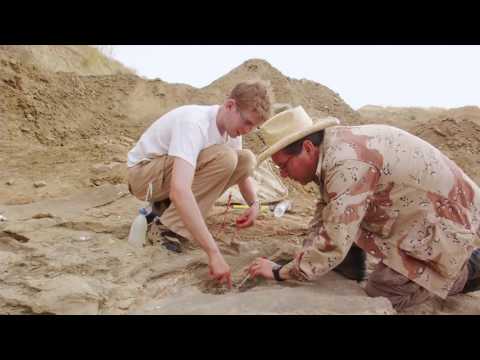 Engaging with Paleontology Journals for Scientific Outreach