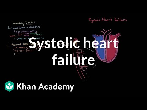Chronic Heart Failure Pathophysiology Unraveled for Researchers
