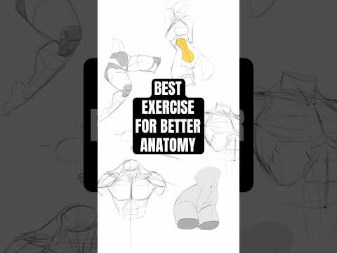 Innovative Techniques in Back Anatomy Drawing for Science Education