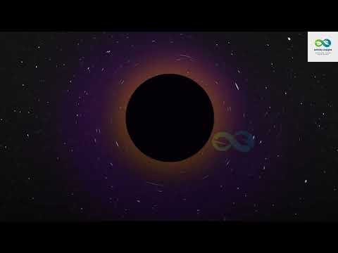 Diving into the Mysteries of Black Hole Varieties