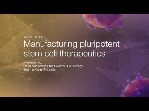 Innovations in Stem Cell Production and Its Scientific Implications