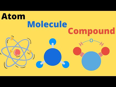The Role of O Molecules in Chemical Reactions and Life