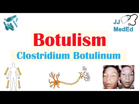 Pathophysiology of Botulism and Its Implications for Health
