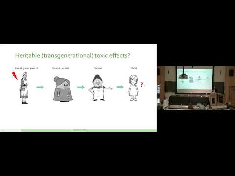 Developmental Toxicity in Science and Public Health Awareness