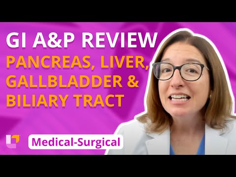 Gallbladder Anatomy and Its Role in Digestive Health