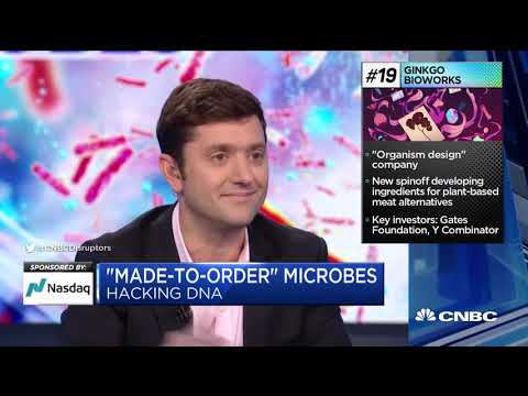 Ginkgo Biotech's Role in Advancing Synthetic Biology