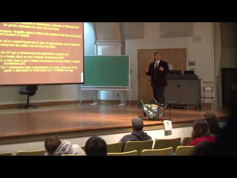 Polydactyly Genetics and Its Implications in Human Development