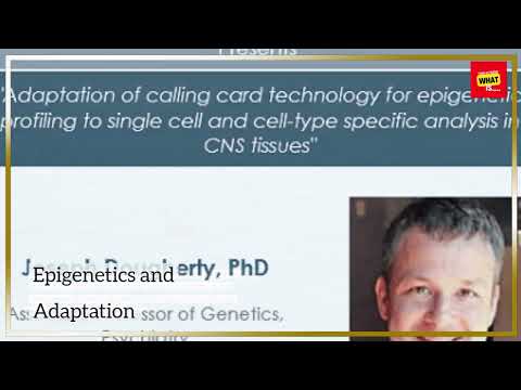 The Role of the Coi Gene in Evolutionary Biology
