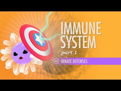 Immunity Physiology: Unveiling Immune System Mechanisms