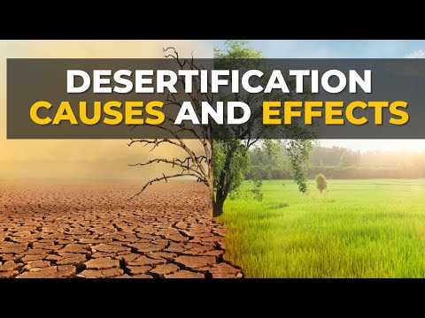 Key Factors Driving Land Degradation in Our Ecosystems