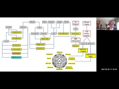 Advancements in Aging Research at the National Institute on Aging