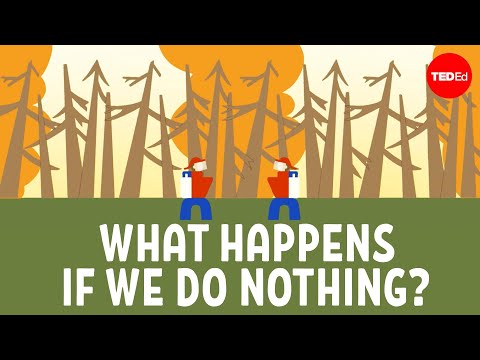 Global Warming Summary and Its Scientific Implications