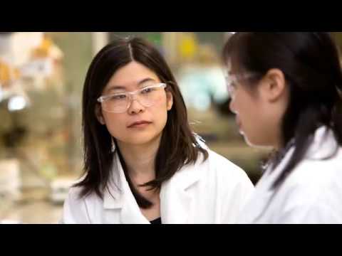 Innovations in Biomedical Engineering for a Healthier Tomorrow