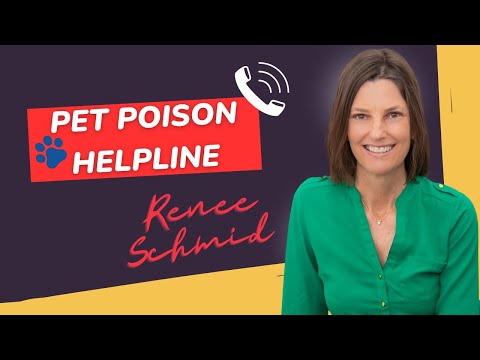 Veterinary Toxicology and Its Role in Animal Health Care