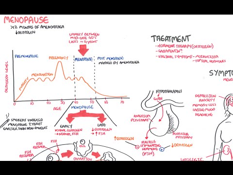 Menopause Physiology and Its Effects on Women's Health