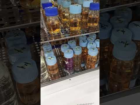 Innovative Approaches in TSB Microbiology Research and Outreach