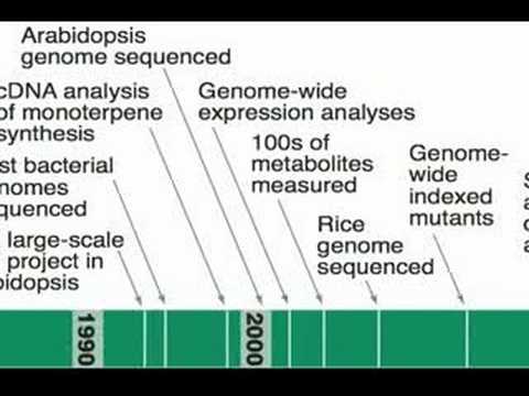 Unraveling the Wonders of the Plant Genome for Science