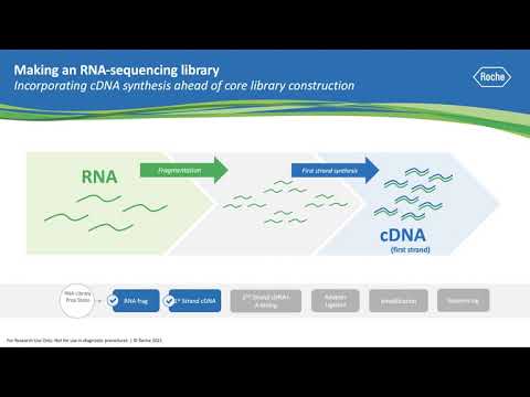Advancements in Small RNA Sequencing Techniques and Applications