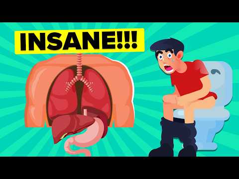 Fascinating Facts About the Human Body and Its Functions