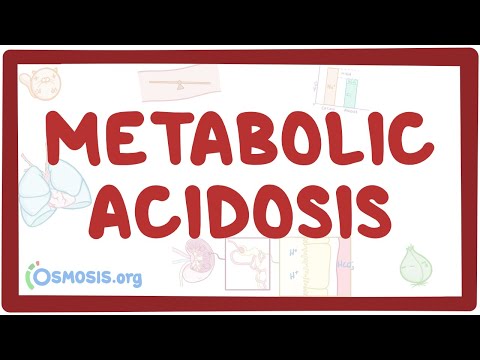 Metabolic Acidosis Pathophysiology and Its Clinical Implications