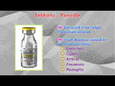 Antibiotic Pharmacology in Modern Medicine and Research