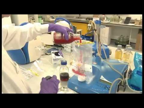 Microbiological Testing of Water for Public Health Safety