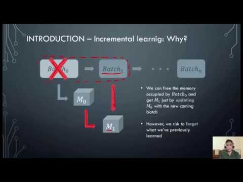 Advancing Knowledge Through Incremental Learning Strategies