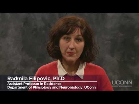 Advancing Neuroscience Through UConn's Outreach Initiatives