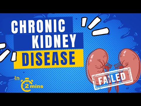 Pathophysiology of Chronic Kidney Disease in Focus