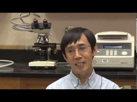 Advancements in Fish Genetics for Sustainable Aquaculture