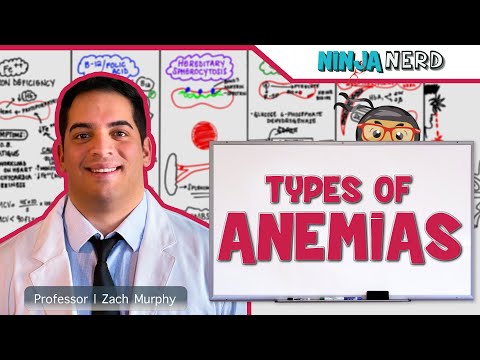 Common Blood Disorders and Their Scientific Implications