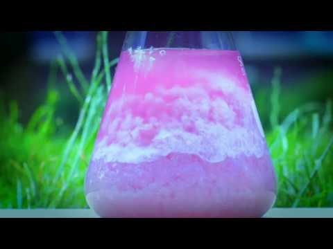 Advancements in Building and Earth Sciences for a Sustainable Future