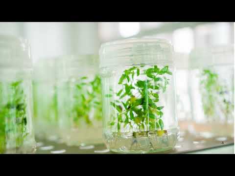 Innovations in Biotechnology Products Shaping Our Tomorrow