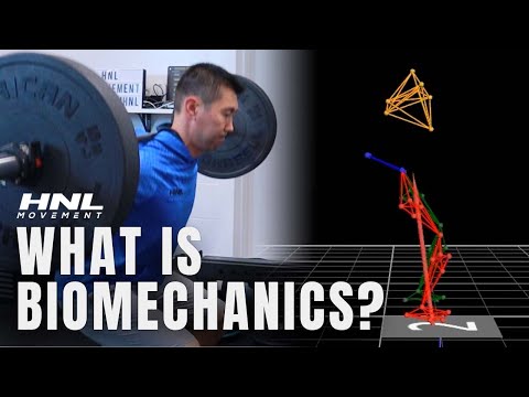 Biomechanics of Human Movement in Everyday Life and Science