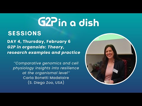 Comparative Physiology of Animals: Insights and Innovations