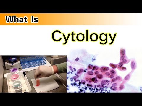 Cytology and Pathology: Bridging Cells and Disease Detection