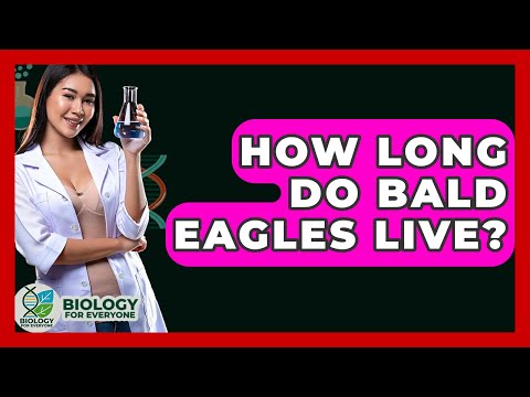 Taxonomy of Bald Eagles and Their Ecological Significance