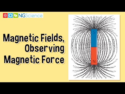 Visualizing Magnetic Fields with Iron Filings in Action