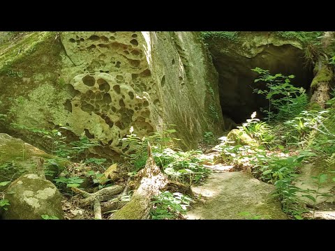 Black Sedimentary Rock: Nature's Record of Earth's History