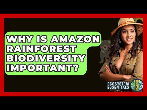 Amazon Biodiversity and Its Role in Global Ecosystems