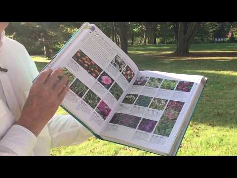 Botanical Wonders A Comprehensive Encyclopedia for Enthusiasts