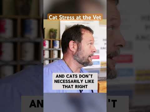 Feline Throat Anatomy: Insights for Cat Health and Care
